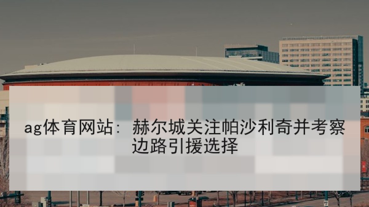 ag体育网站: 赫尔城关注帕沙利奇并考察边路引援选择