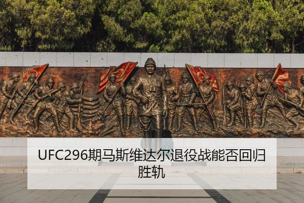 qi-ma-si-wei-da-er-tui-yi-zhan-neng-fou-hui-gui-sheng-gui-3-416.jpg
